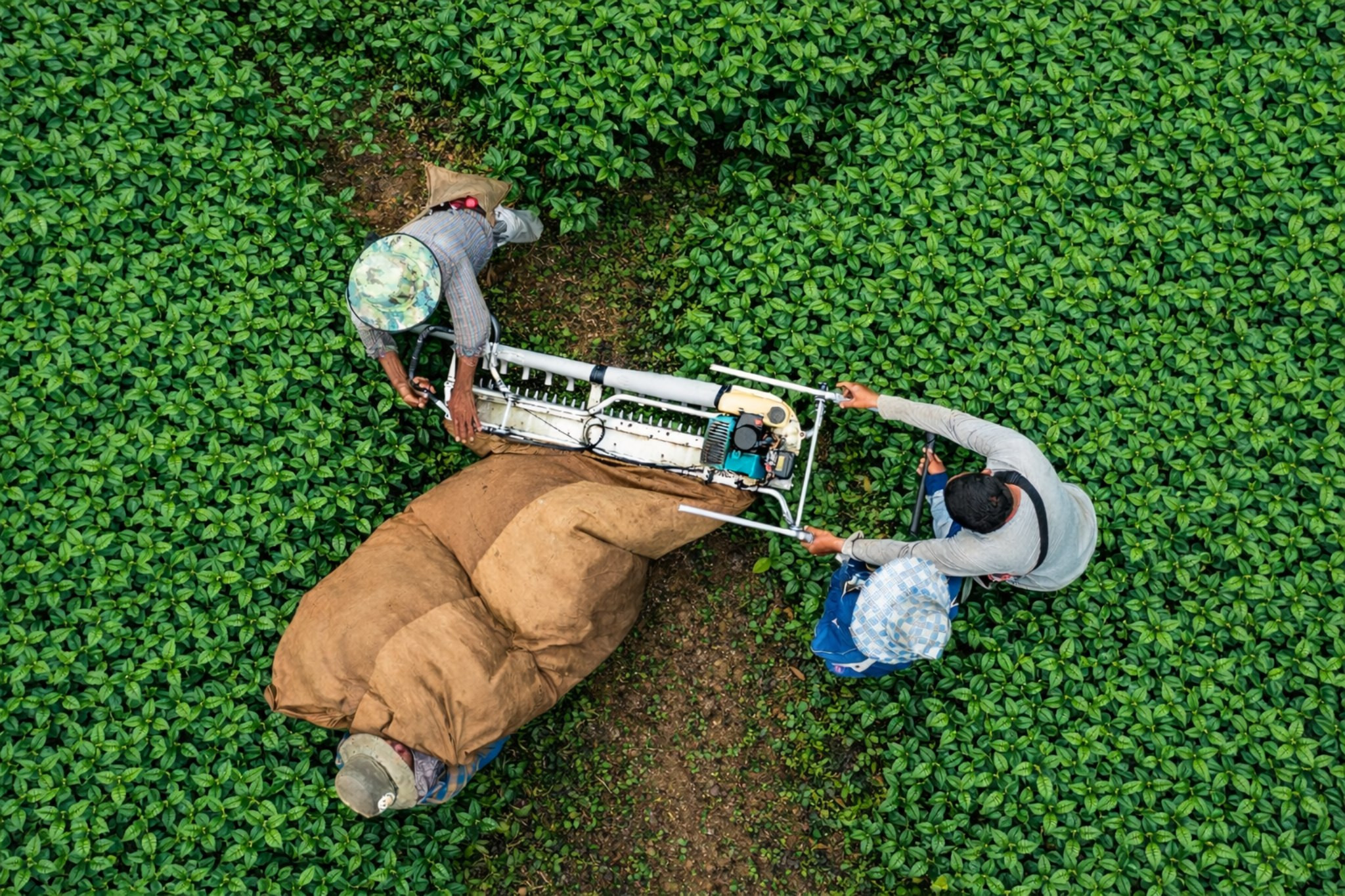 Harnessing trade to advance national climate and development goals (2nd edition)