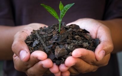 Keffi 2026 International Biochar Conference