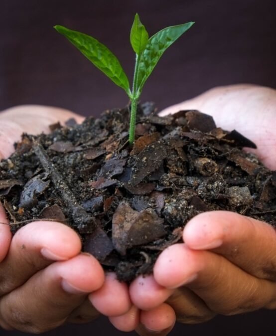 Keffi 2026 International Biochar Conference